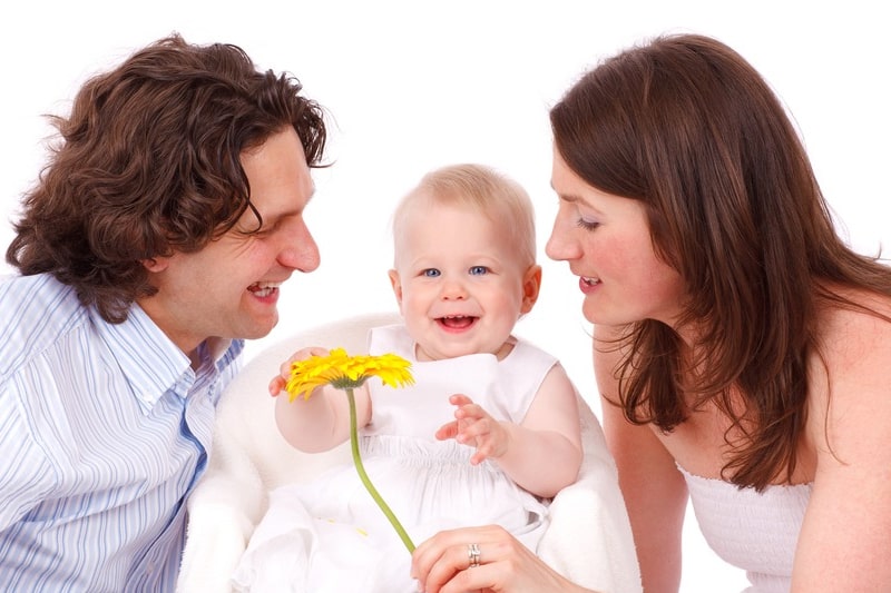 direito familia pais filhos flor